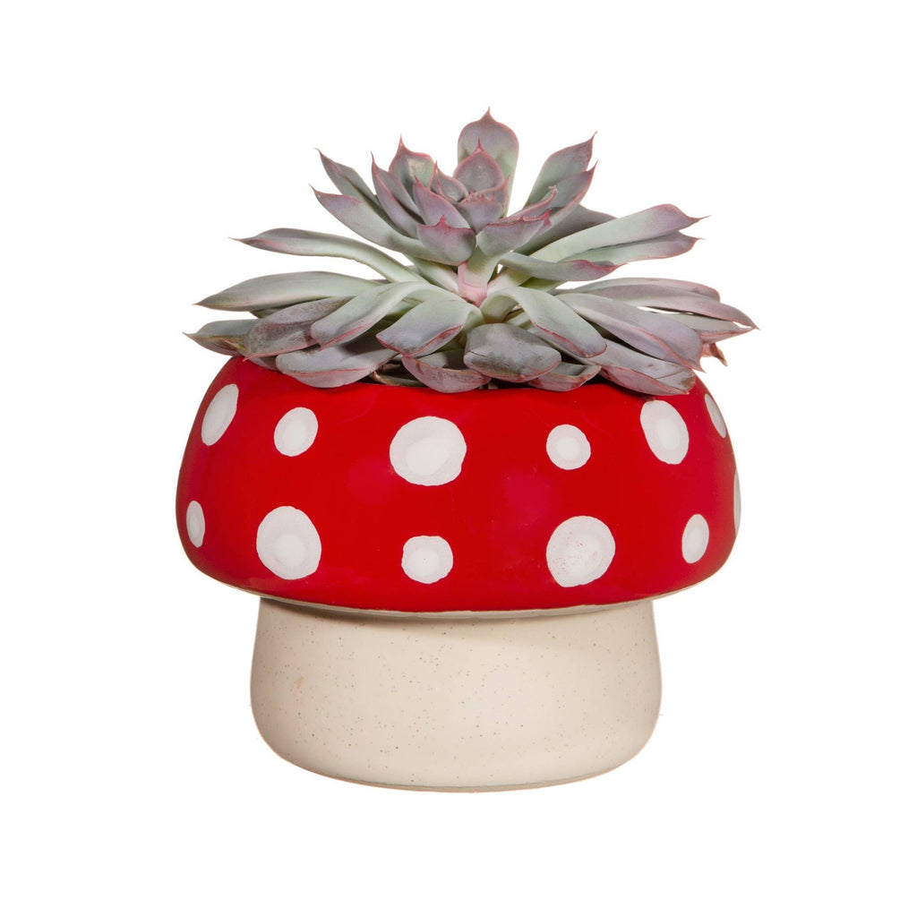 Cache-pot Champignon Rouge