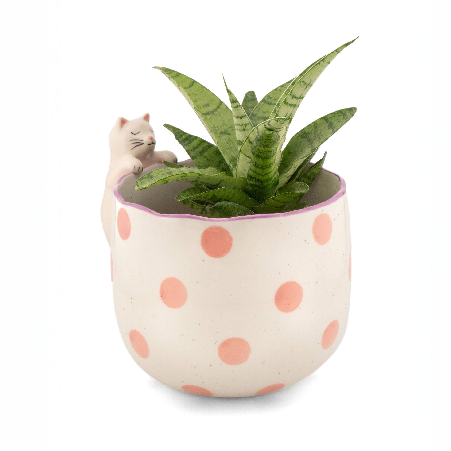 Cache-pot Chat Espiègle