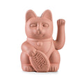 Gatto Fortunato Rosa