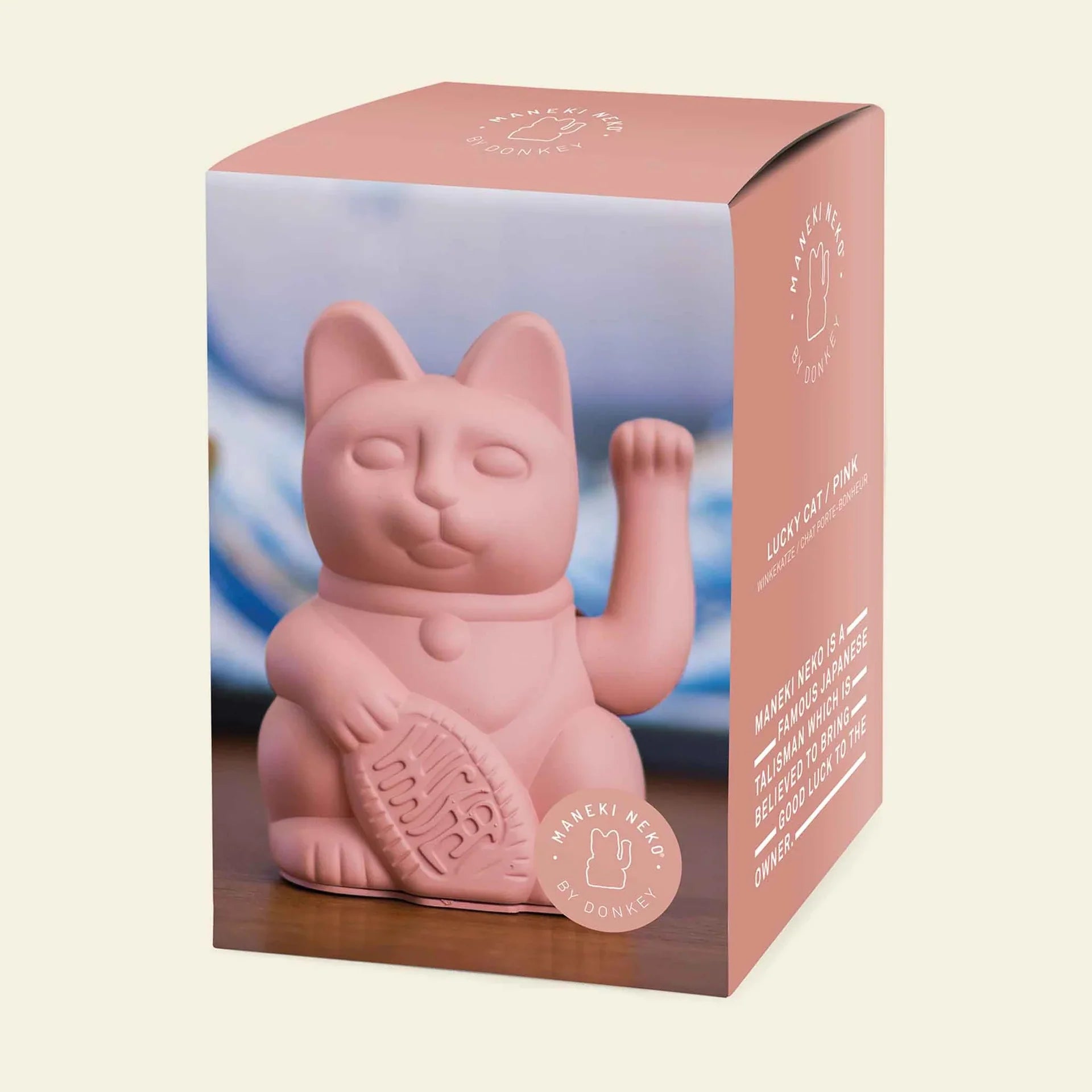 Gatto Fortunato Rosa