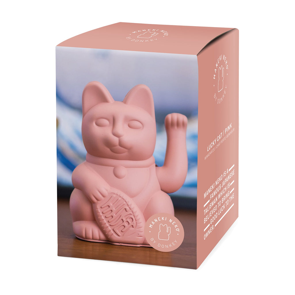 Gatto Fortunato Rosa