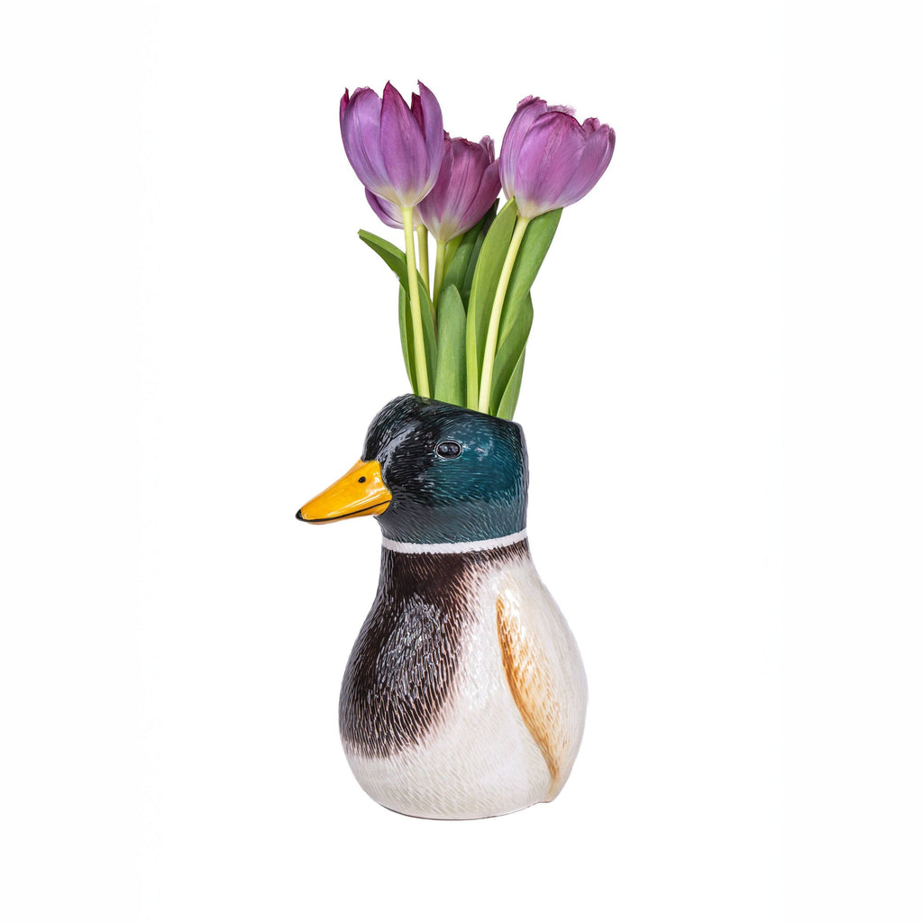 Vase Canard Colvert