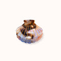 Pince à cheveux Coquillage