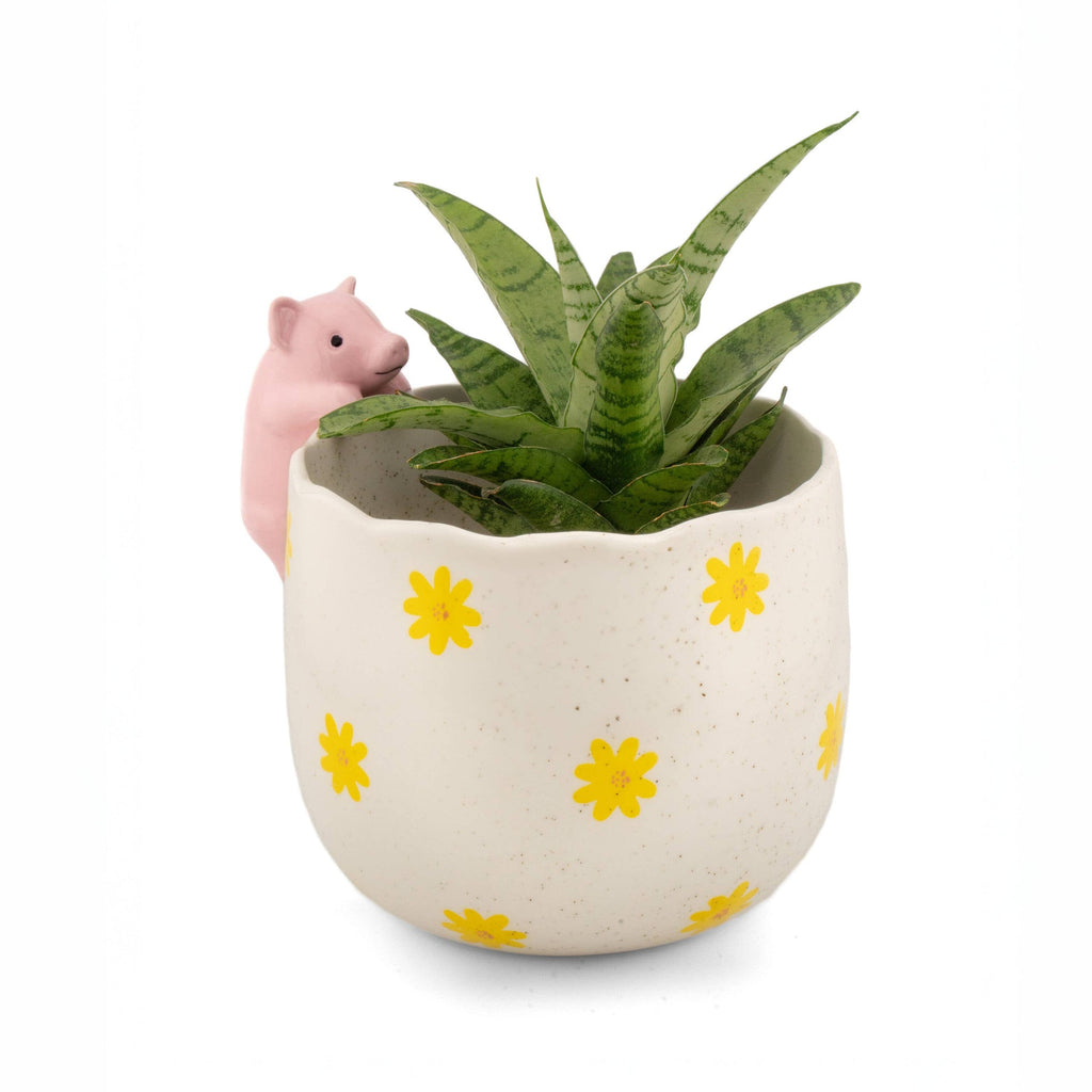 Jardinière Cochon Espiègle