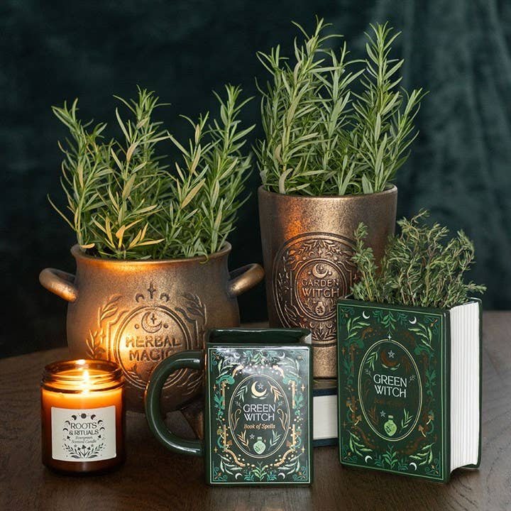 Vase en Forme de Livre - Sorcière verte
