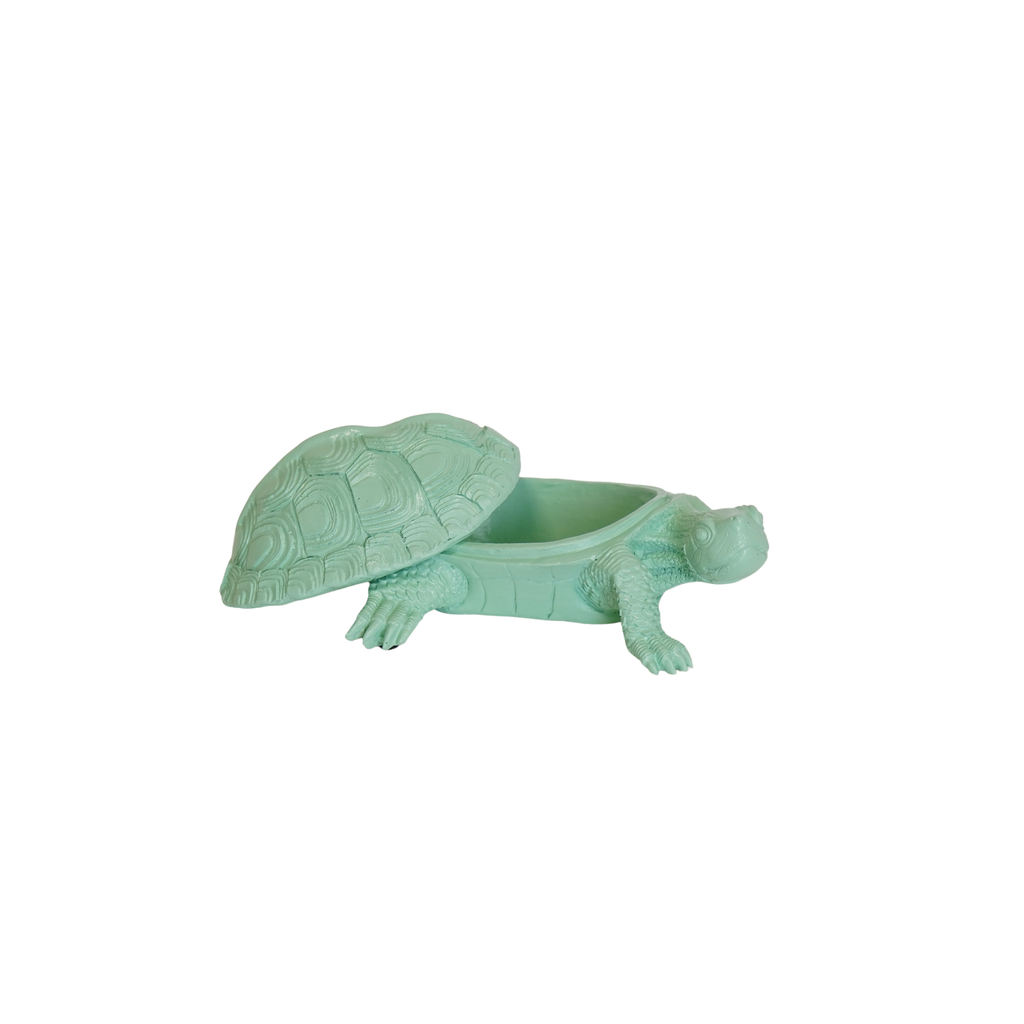 Turtle Box - Mint Green