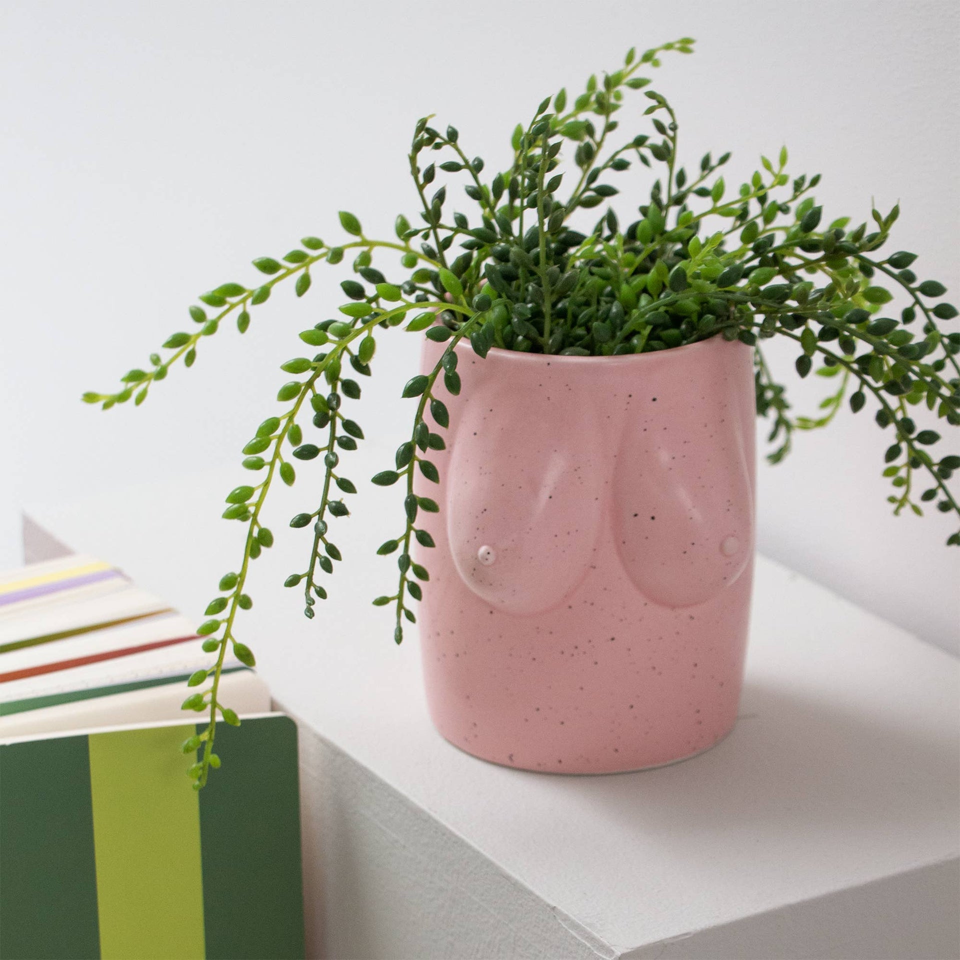 Vase Tits Rose