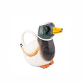 Arrosoir Canard Colvert