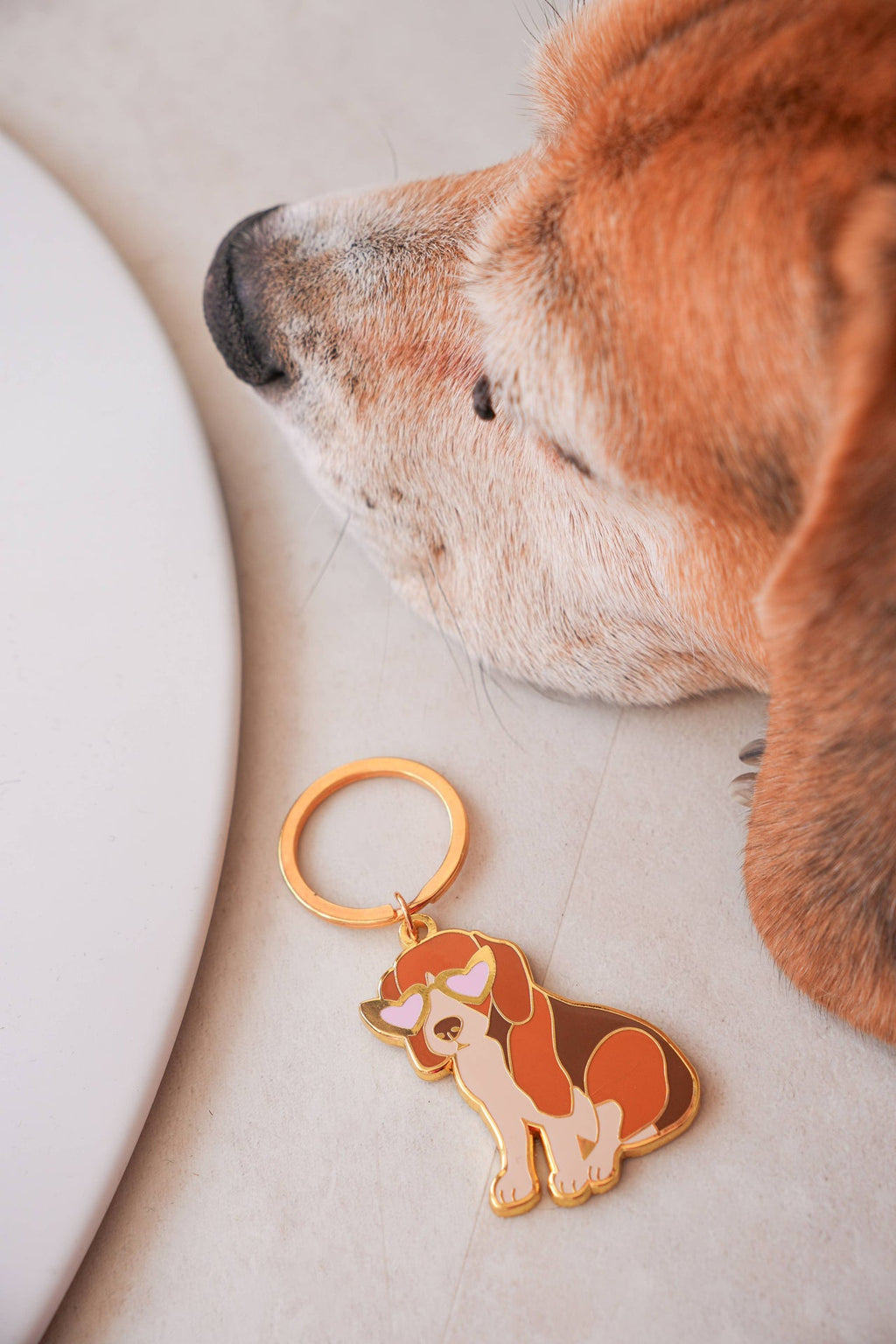 Portachiavi Beagle