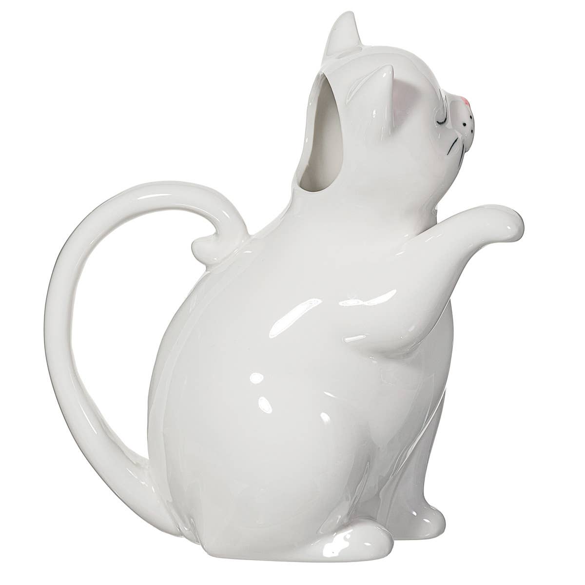 Arrosoir Chat