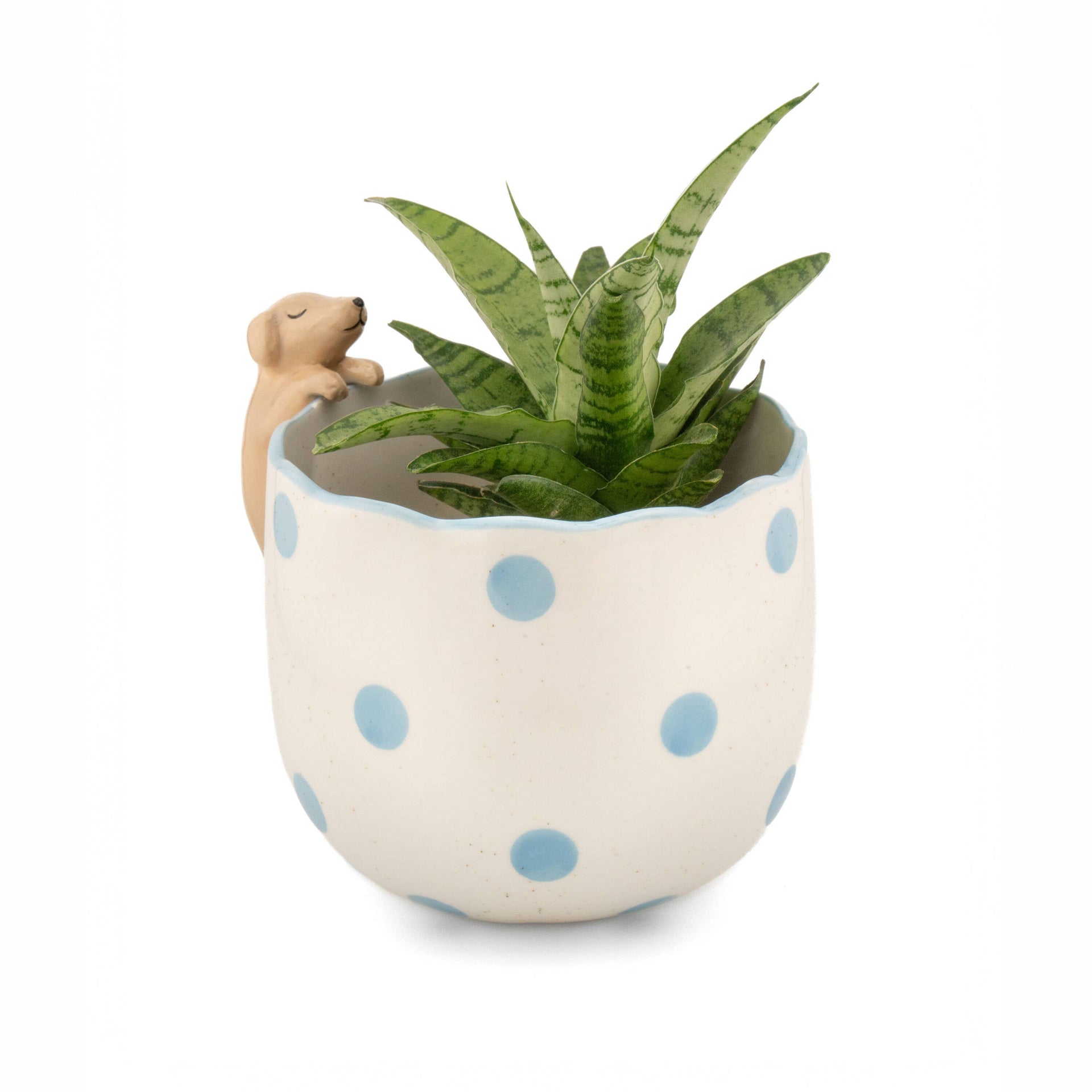 Jardinière Chien Curieux