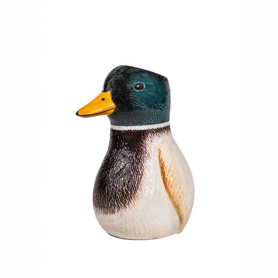 Vase Canard Colvert