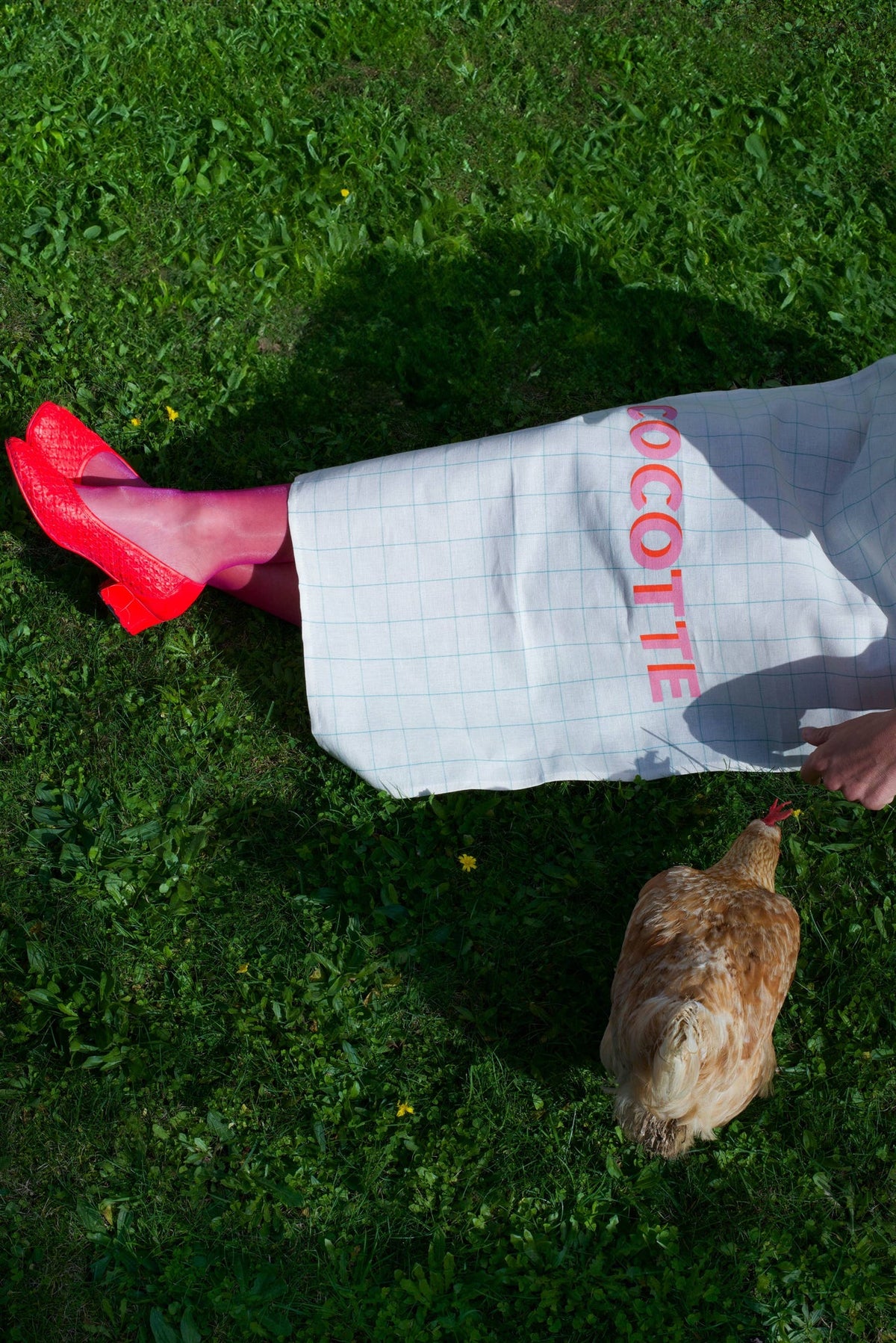 Torchon Cocotte Les Petits Noms Pied de Poule – vue produit 2