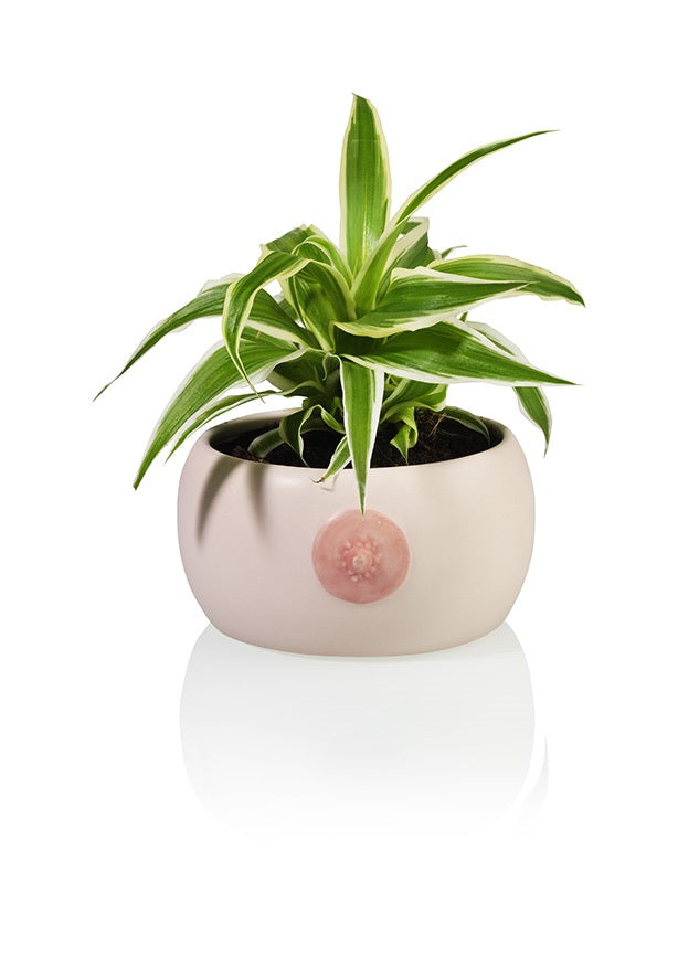 Bol Sein Bitten – Accessoire de table original