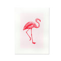 Stampa artistica Fenicottero rosa