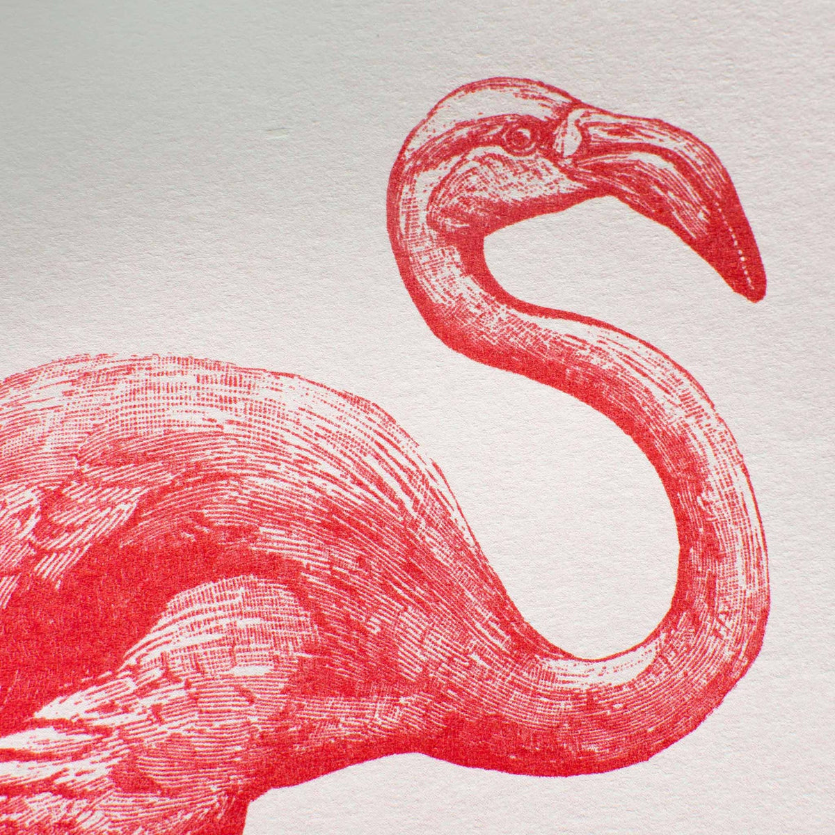 Vue complémentaire : Artprint Flamant Rose – Donkey Products