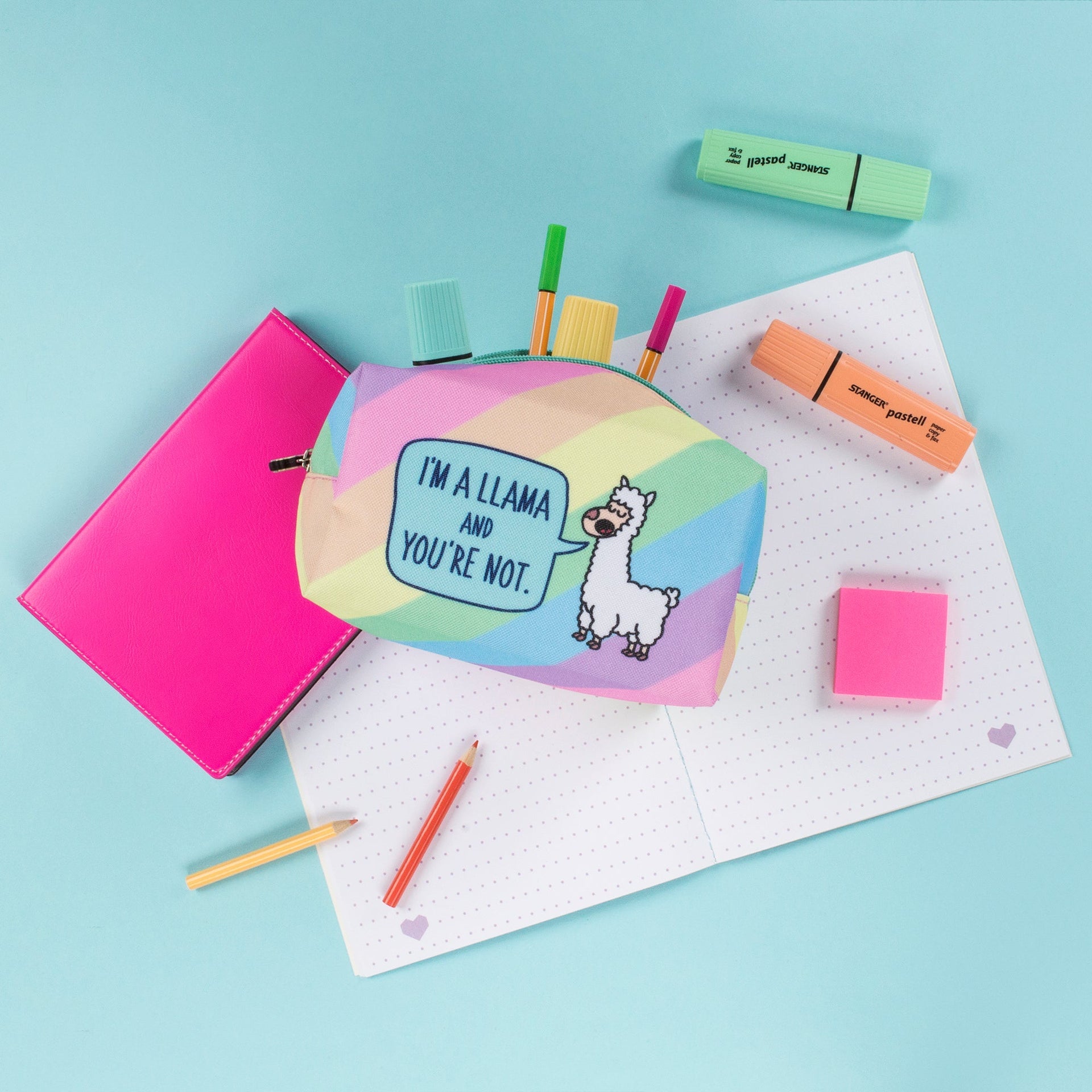 Trousse de maquillage – You Are Not Llama