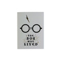 Aimant Harry Potter - Le garçon qui a vécu