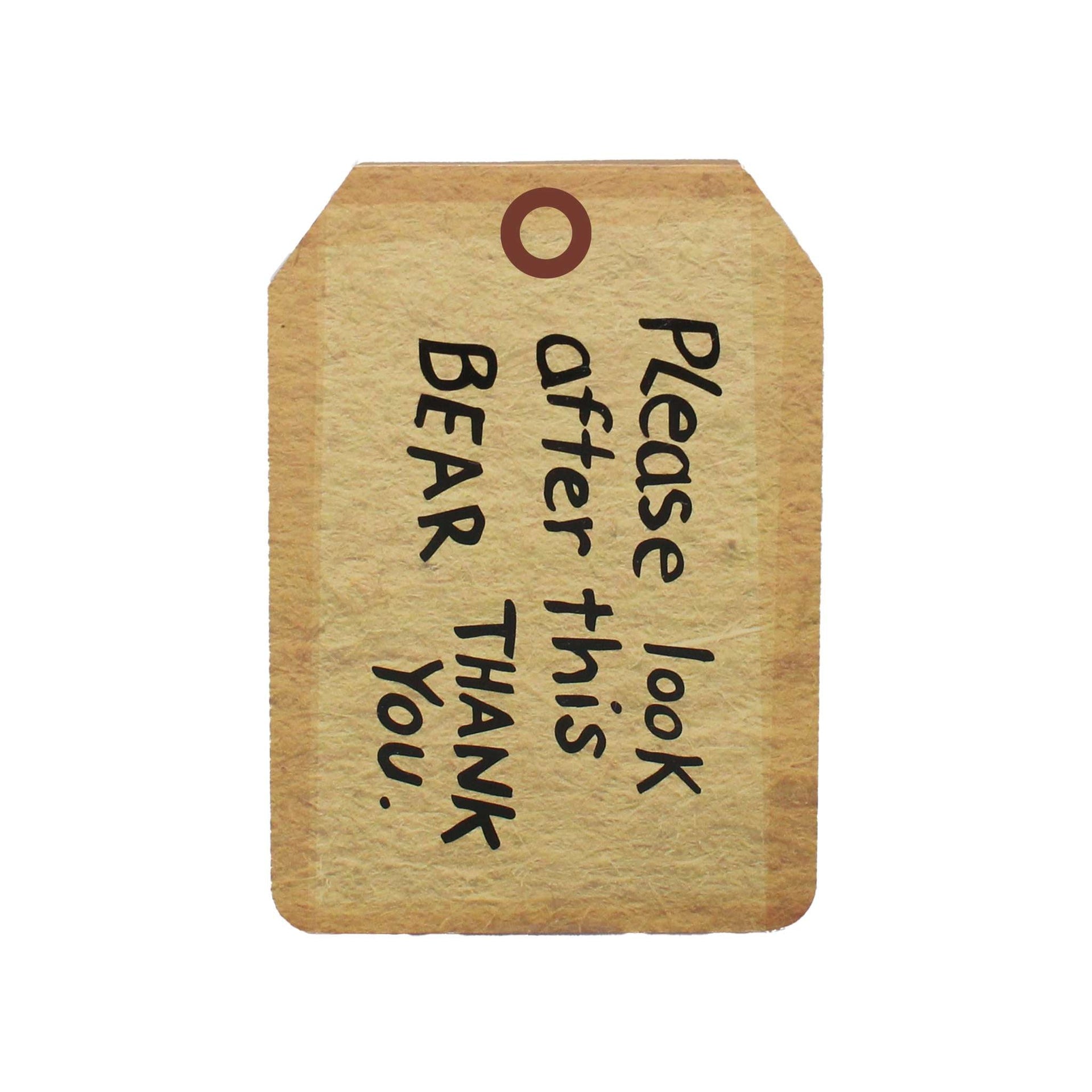 Paddington Pocket Notebook - Tag