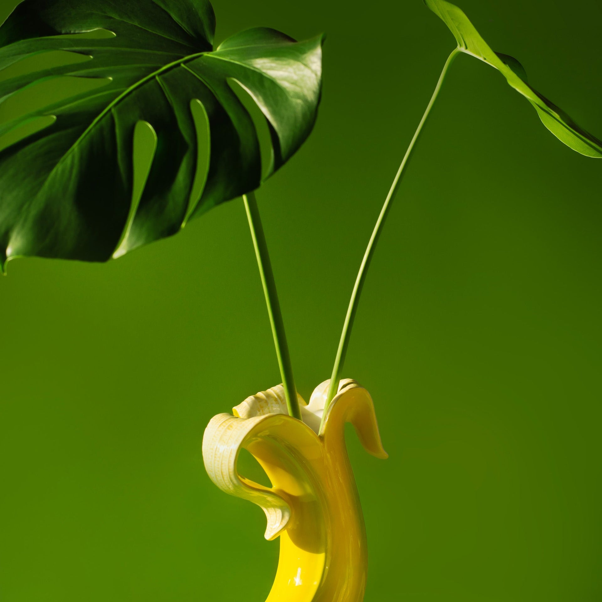 Vase Banana Romance