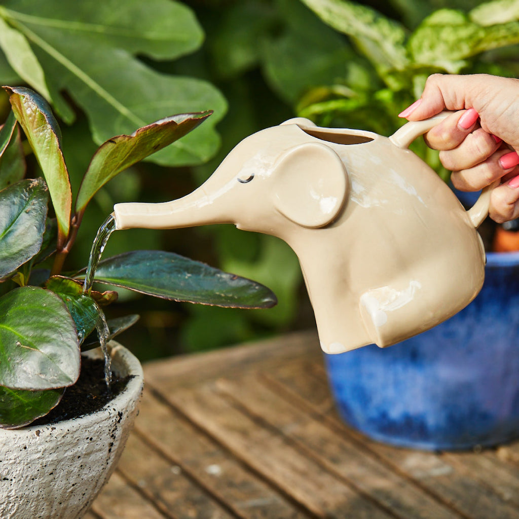 Arrosoir Élephant