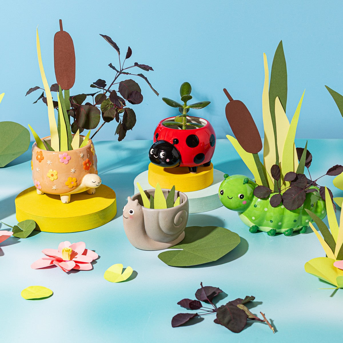 Cache-pot tortue