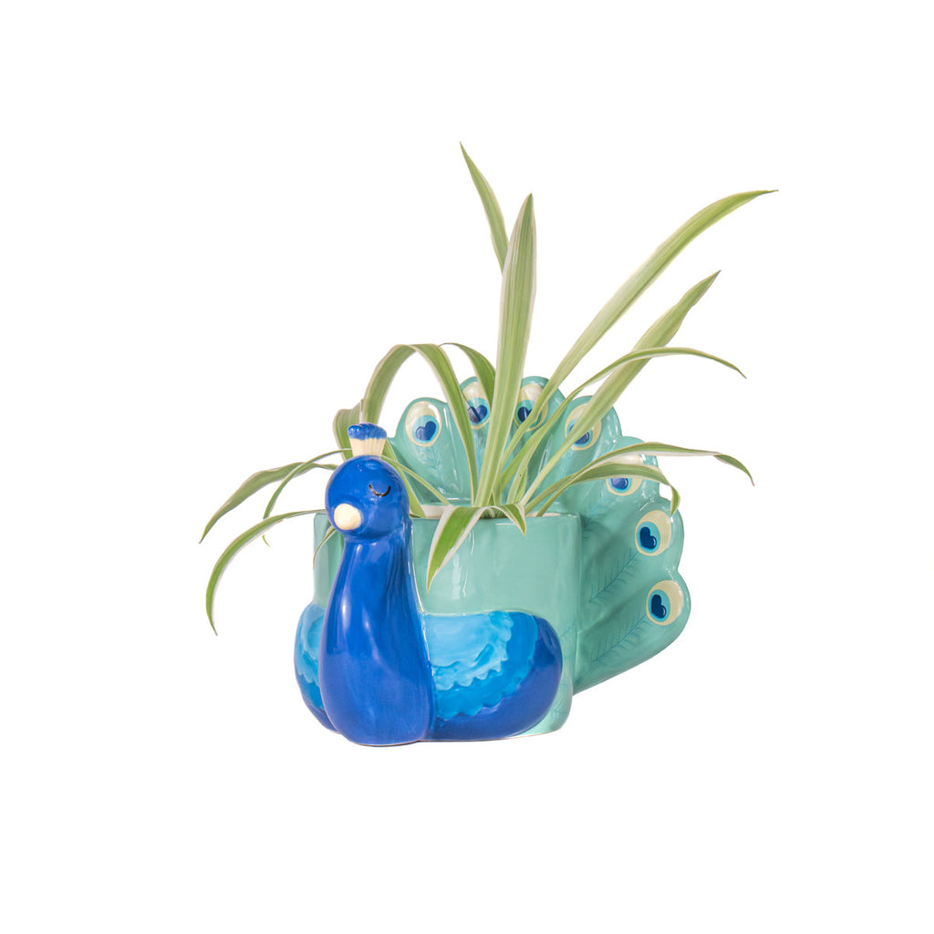 Mini Jardinière Paon