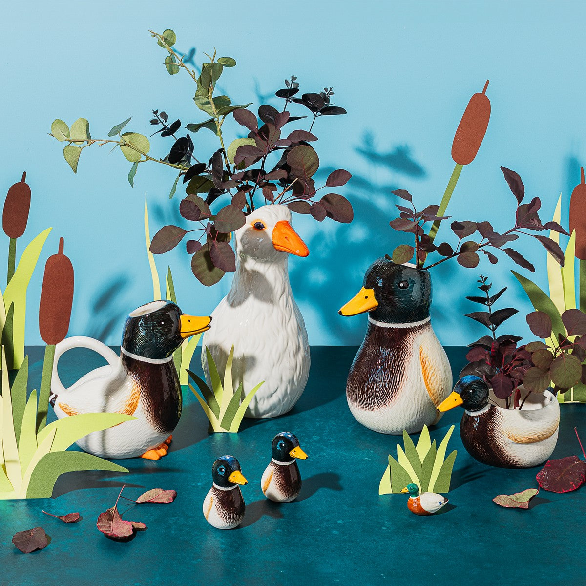 Sel et poivre Canard Colvert