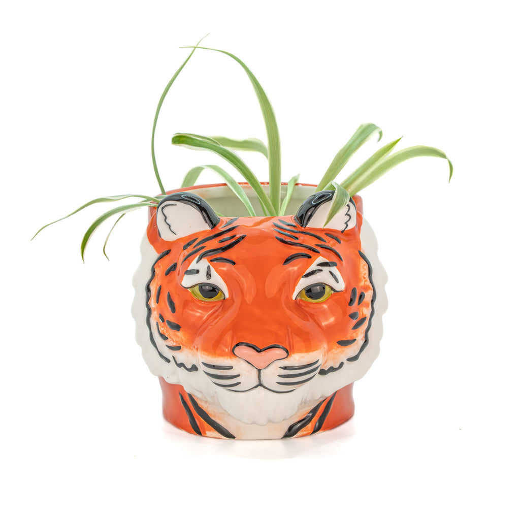 Jardinière Tigre