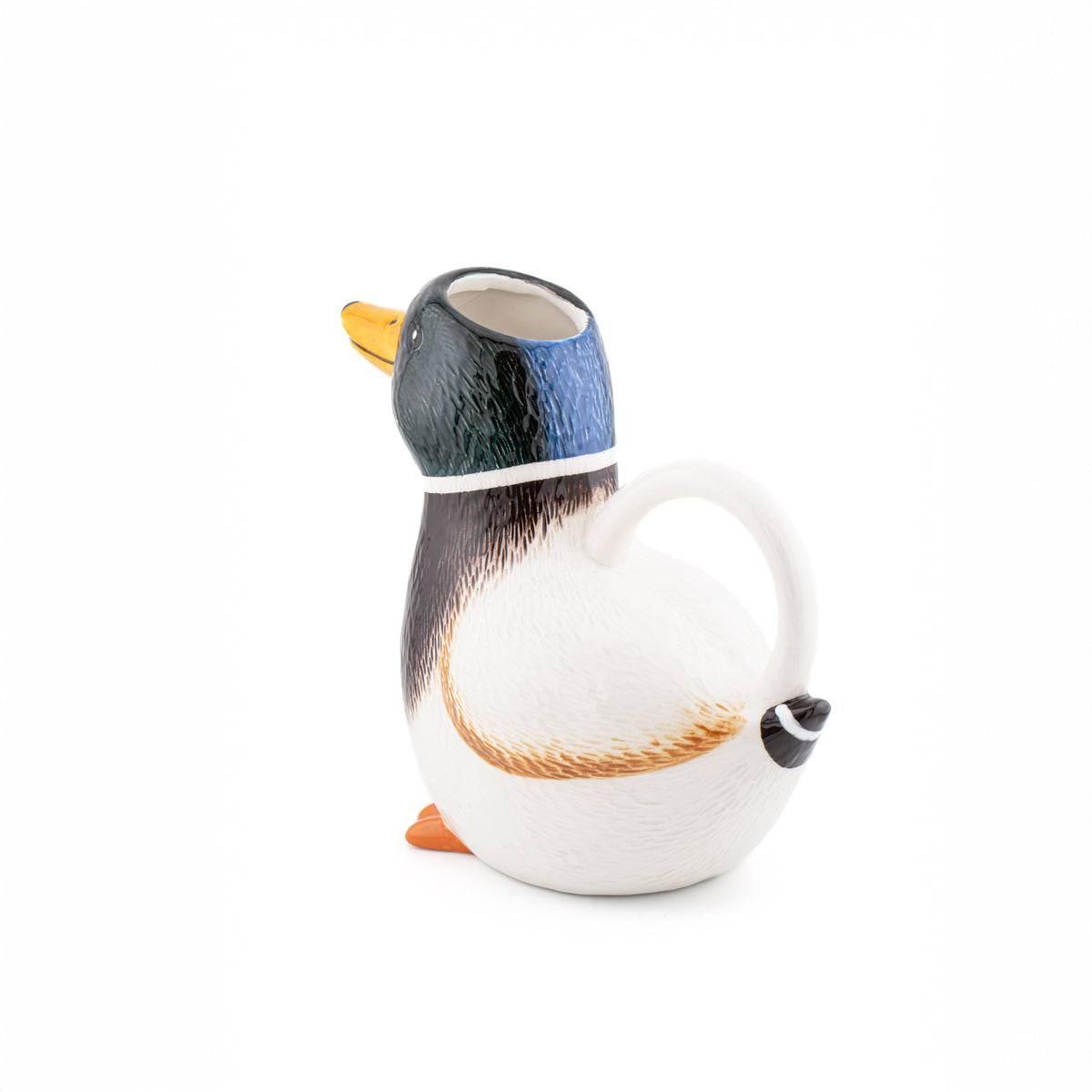 Arrosoir Canard Colvert