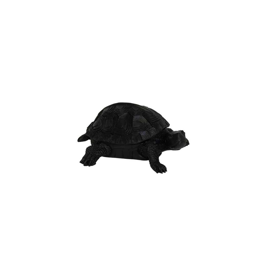 Scatola Tartaruga - Nero
