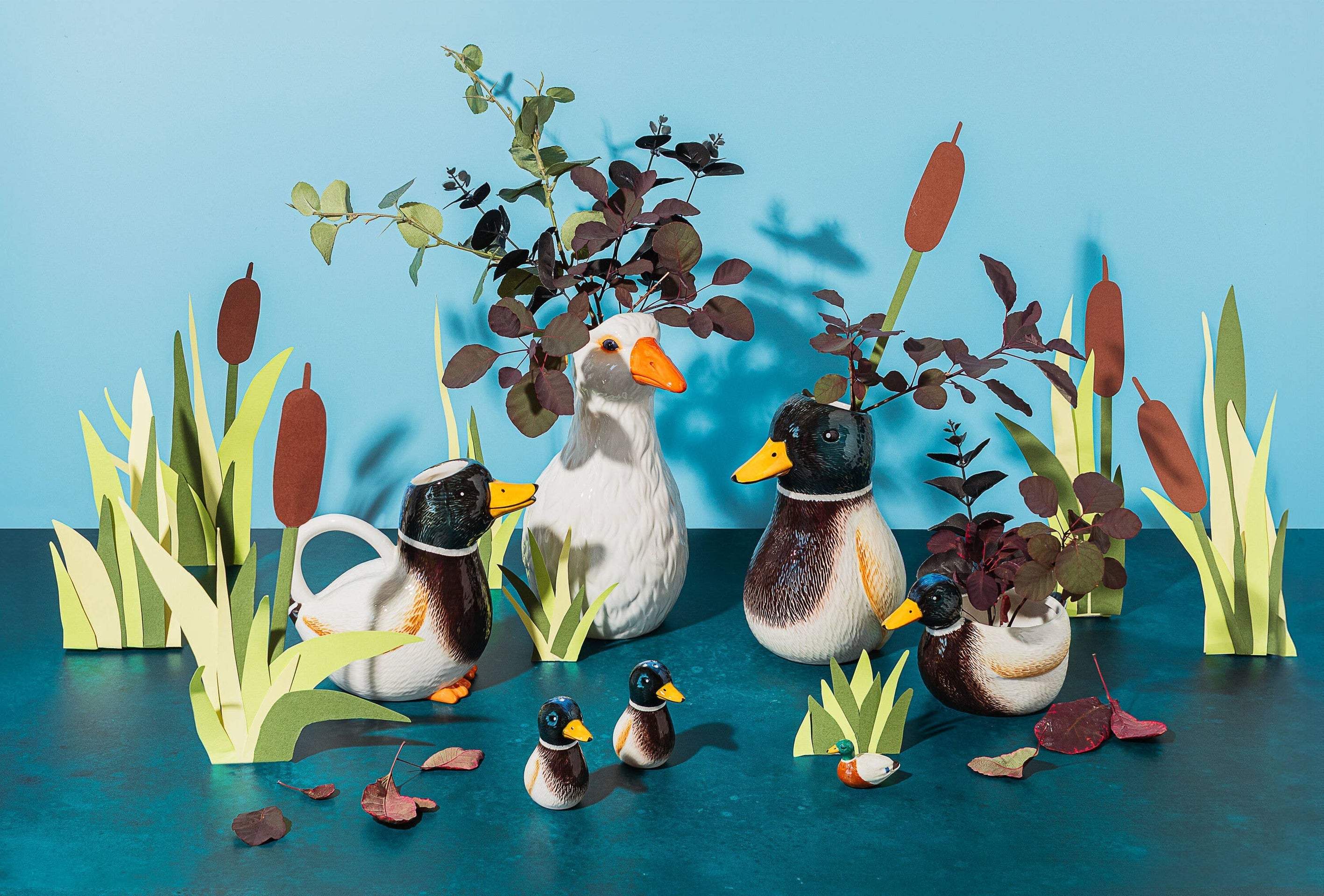 Arrosoir Canard Colvert