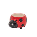 Mini jardinière coccinelle