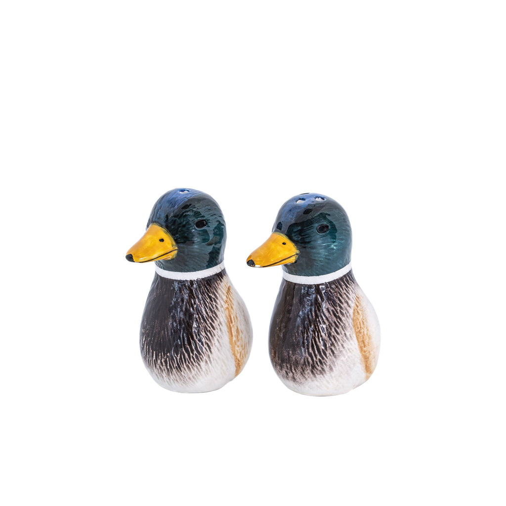 Sel et poivre Canard Colvert