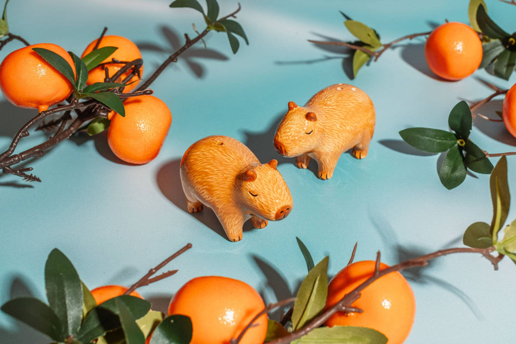 Sel et poivre Capybaras