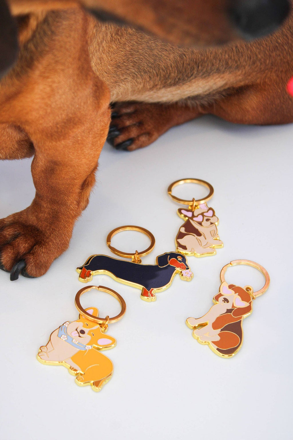 Portachiavi Beagle
