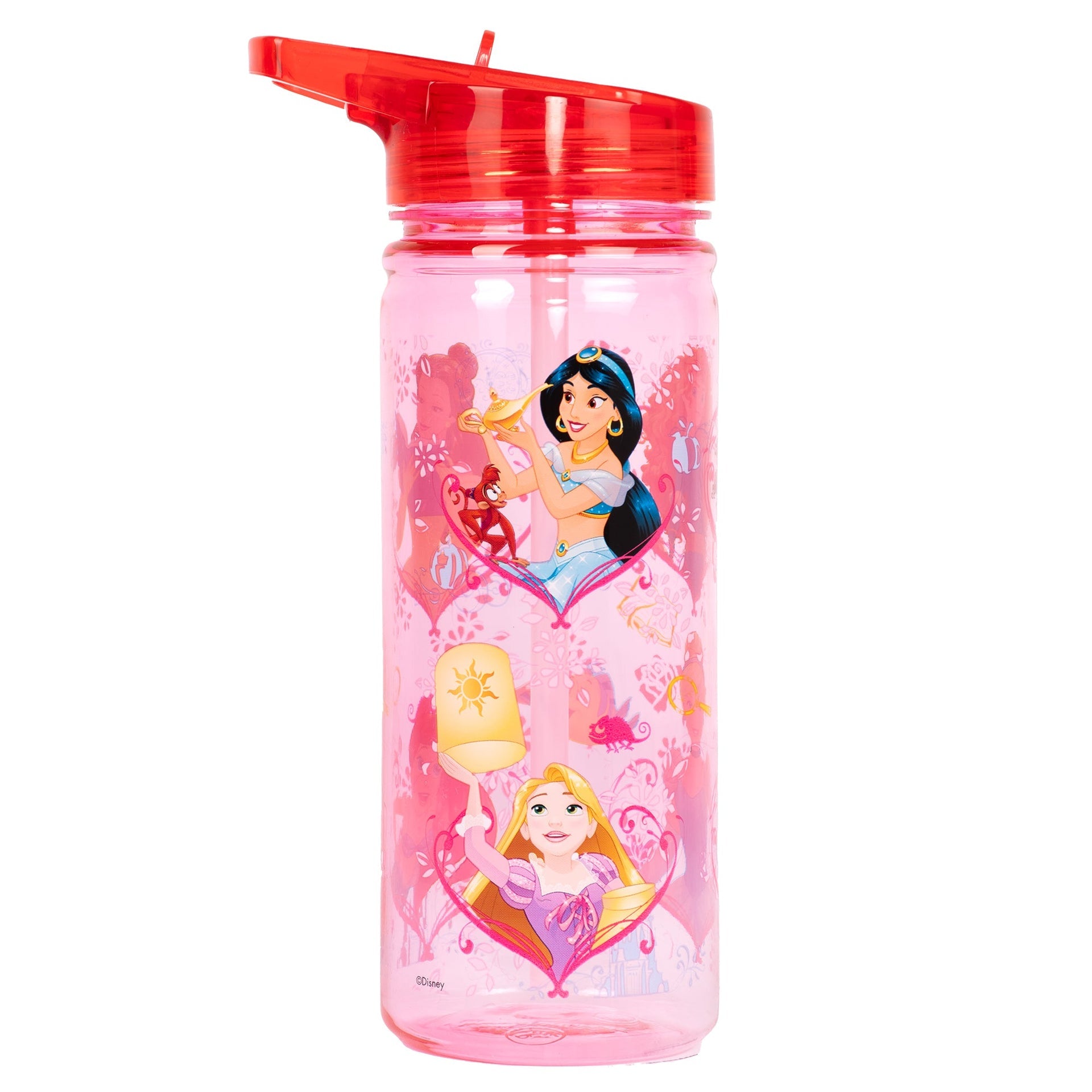 Gourde – Disney Princess