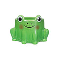 Mini jardinière Grenouille