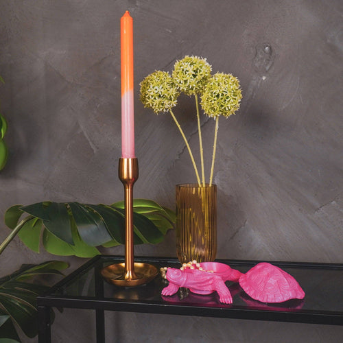 Scatola Tartaruga - Rosa Neon