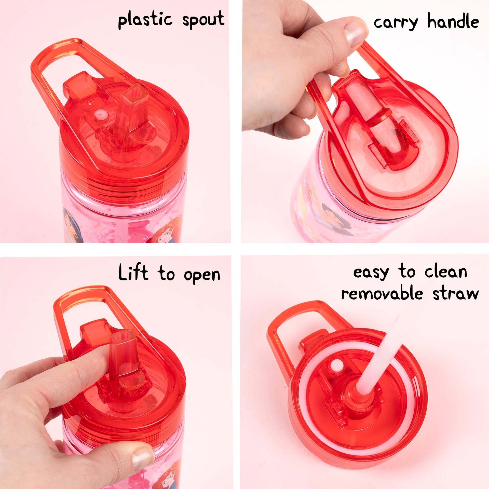 Gourde – Disney Princess